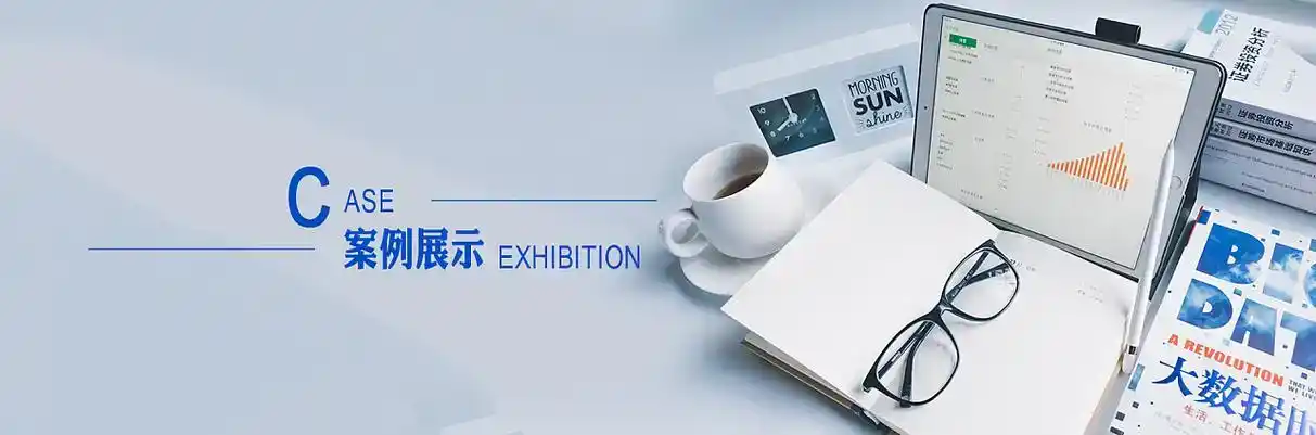阎良区软件开发